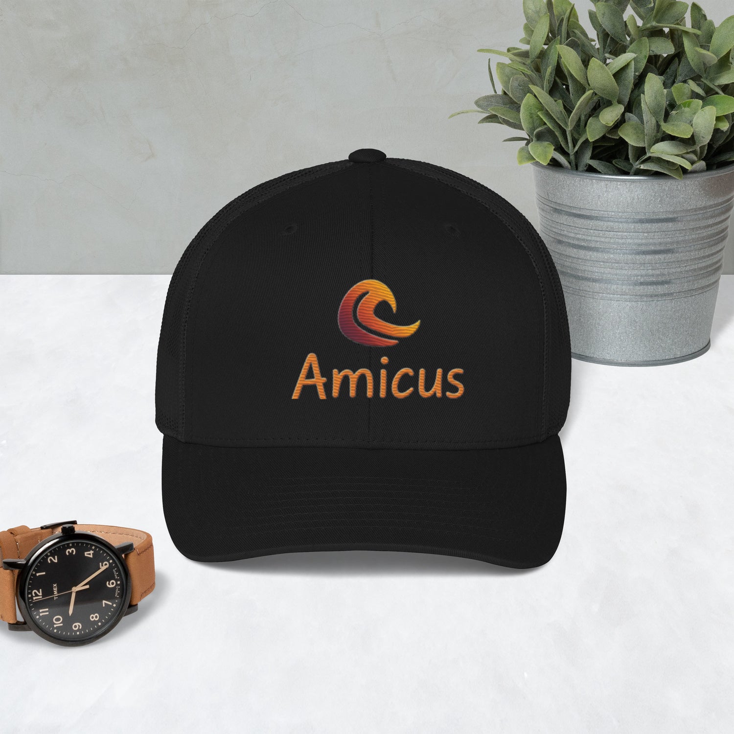 Amicus Cap