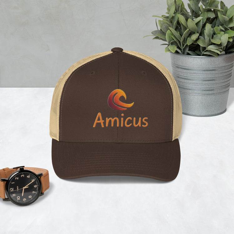 Amicus Cap