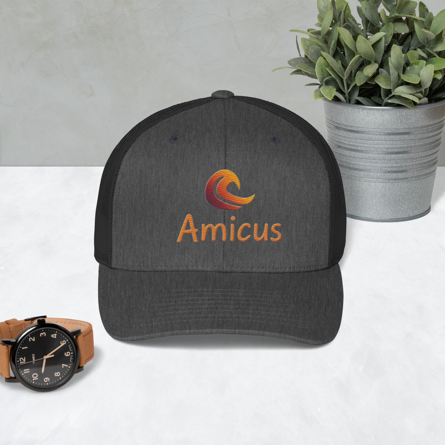 Amicus Cap