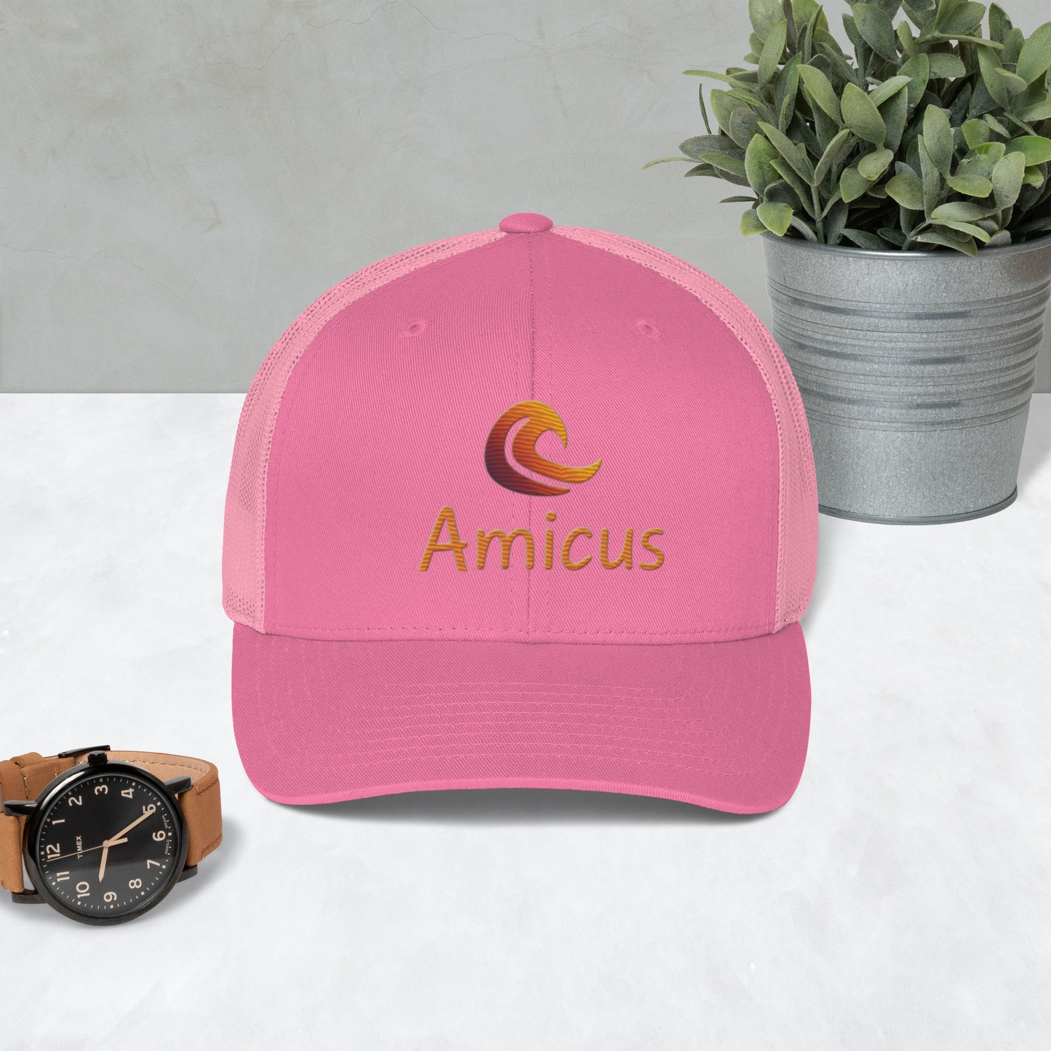 Amicus Cap