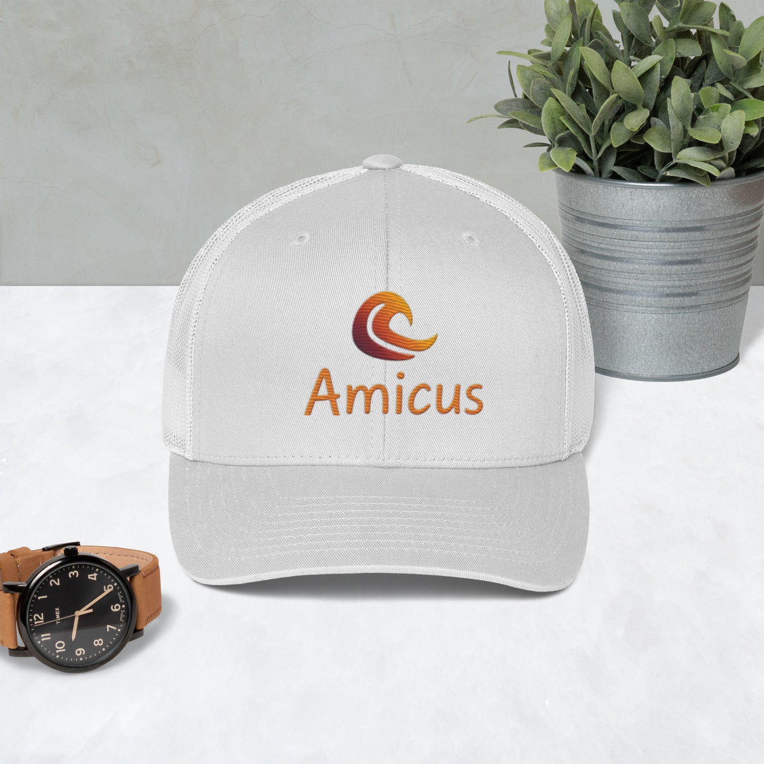 Amicus Cap